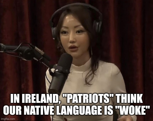 Conċoḃar Ó Maoilḃeannaċta tweet media