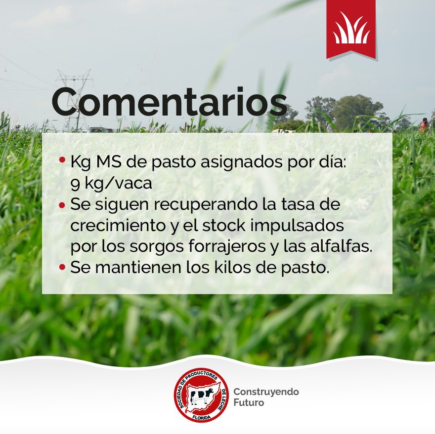 _splf's tweet photo. Info #planverde
Gestión del pasto 🌱
🗓️ 15/12 al 27/12
#splf #servicios #planverde #propasto https://t.co/KouGHOi8M6