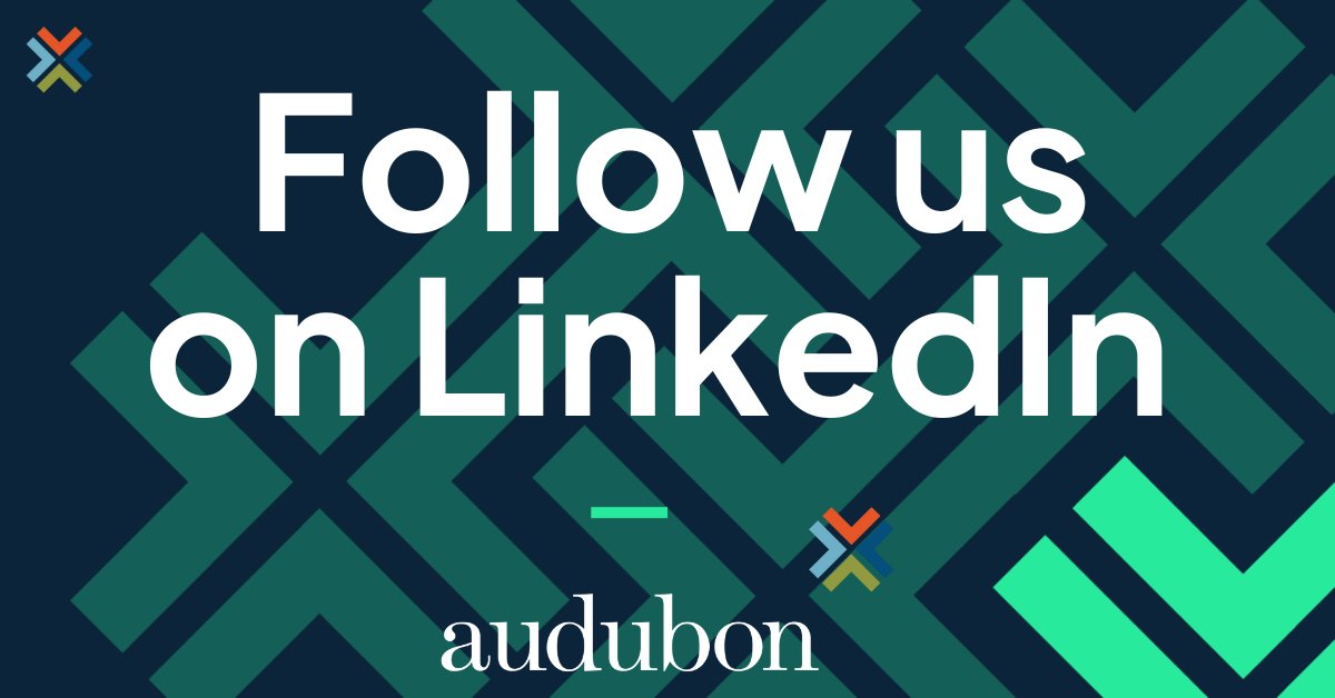 Heads up! Starting in 2025, we'll be posting exclusively on LinkedIn.

See what we're up to here: audubon.info/-li 

#linkedin #socialmediastrategy