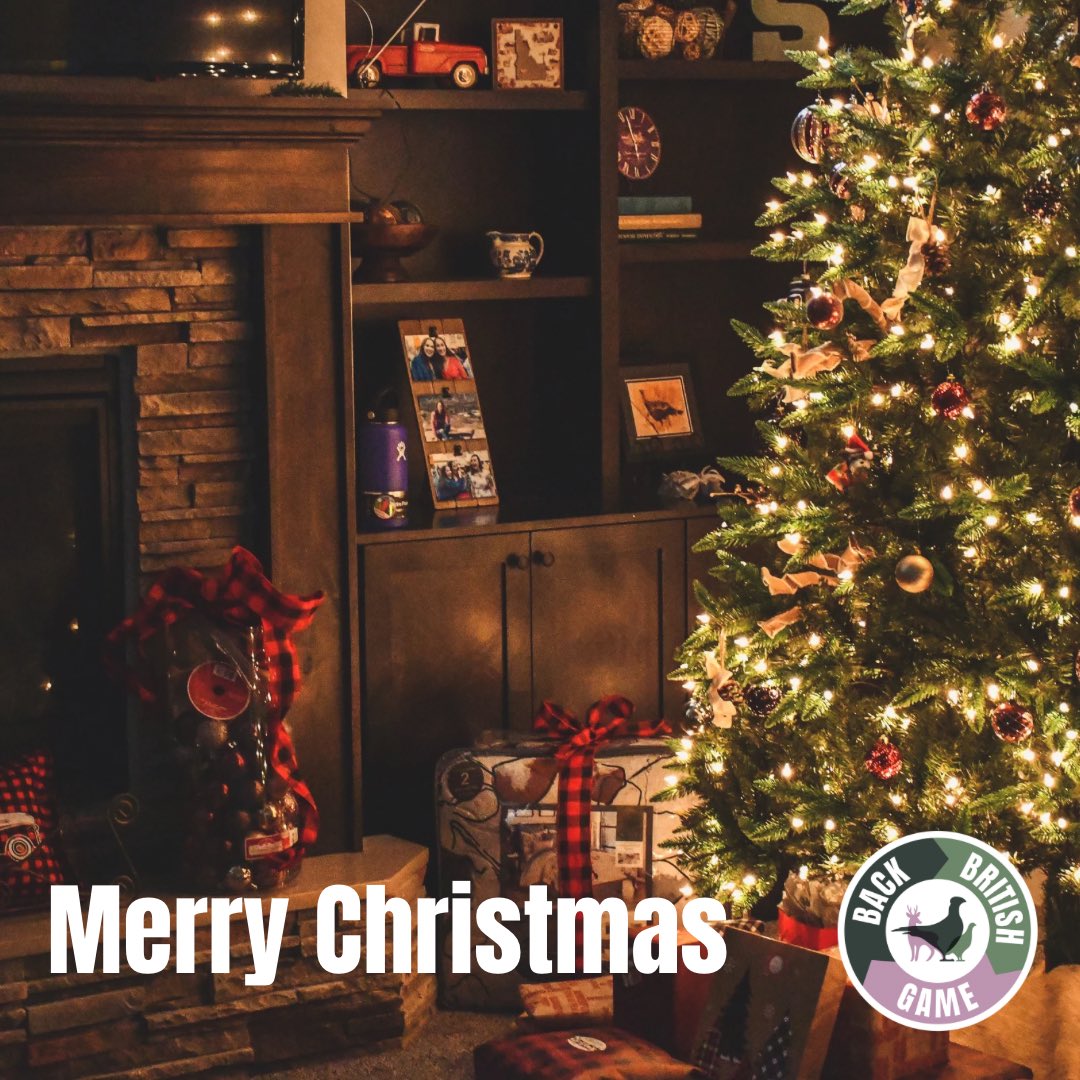 Merry Christmas! Sorry a little late but we hope everyone add a bit of game into their Christmas meal and had a wonderful day.