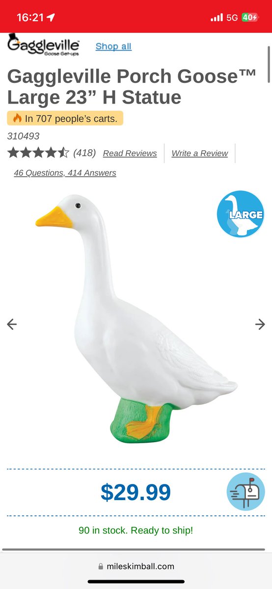 American friends… I need your help in getting a goose….