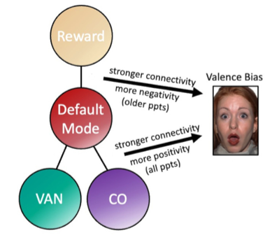 Recently out <a href="/ImagingNeurosci/">Imaging Neuroscience</a>, we explored 🧠 network segregation across the lifespan (ages 6-80) and found #DMN effects related to valence bias. A fun collab with <a href="/GaganWig/">Gagan Wig</a> and led by Jordan Pierce. A short 🧵.
