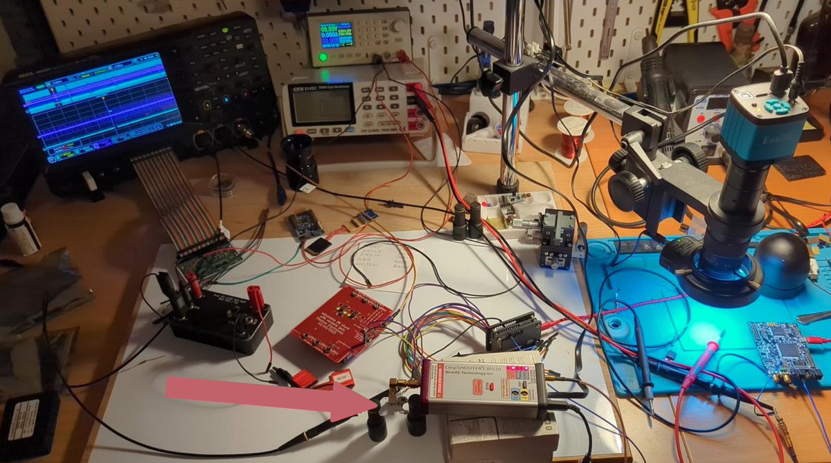 Alex Plaskett tweet media