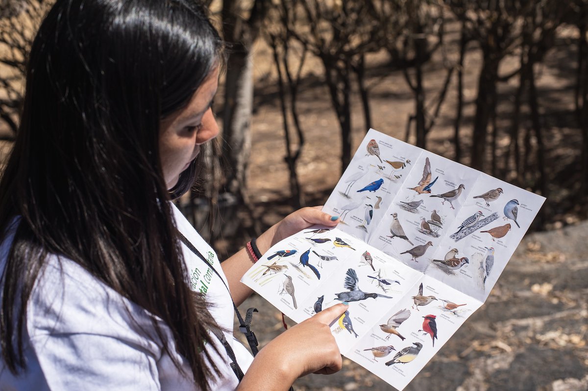 CEMEXMx's tweet photo. A través de nuestro Programa de Restauración Ambiental Comunitaria reafirmamos nuestro compromiso con la sostenibilidad, al capacitar a jóvenes como promotores ambientales, brindándoles las herramientas necesarias para abordar desafíos ambientales en sus comunidades.
#Cemex #PRAC https://t.co/W5c8Qurwn4