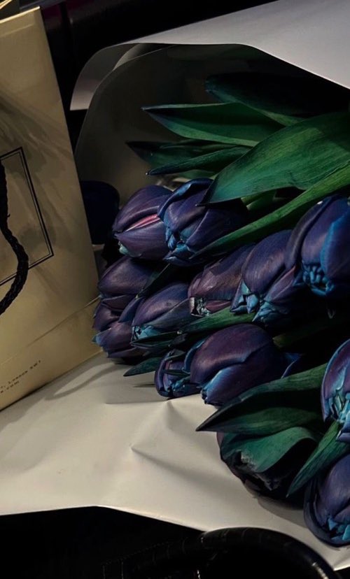 blue tulips