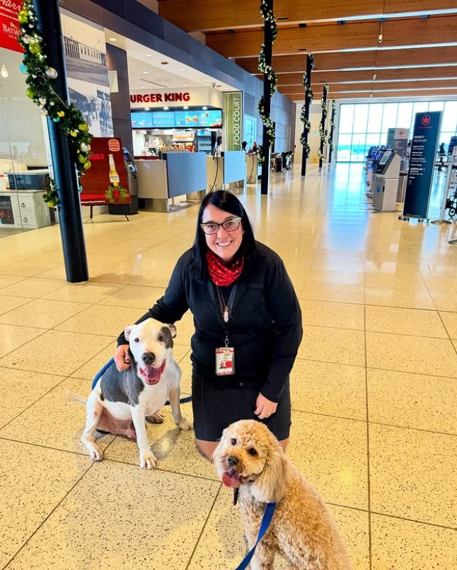 Meet Rocco and Wilson! These two furry friends have been frequenting YMM since officially joining the Pets And Wellness Society (PAWS). Welcome to Team YMM: Rocco and Wilson and their humans, Meredith and Jessica🐾✈️ #PAWSYMM #FlyYMM