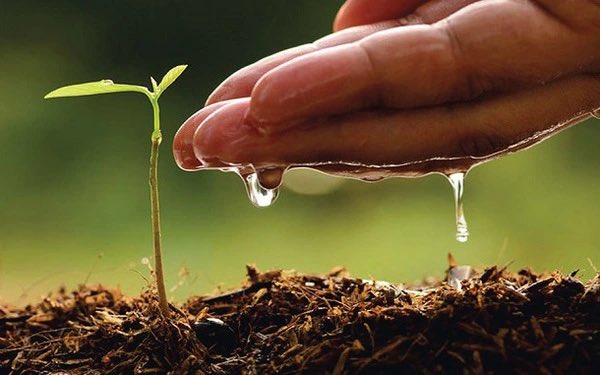 Hạt mầm đã gieo xong chỉ đợi chờ 1 cơn mưa giữa nắng hạn 🍀🍀

- Volume trên cex đang cạn dần , 4 cây nến tuần đỏ lè cho cánh altcoin đã làm suy yếu lực bán khá nhiều. 

- Nếu còn đô thì mạnh dạn rải thêm thôi chứ dăm ba cái cú rũ hàng trước bình minh mình