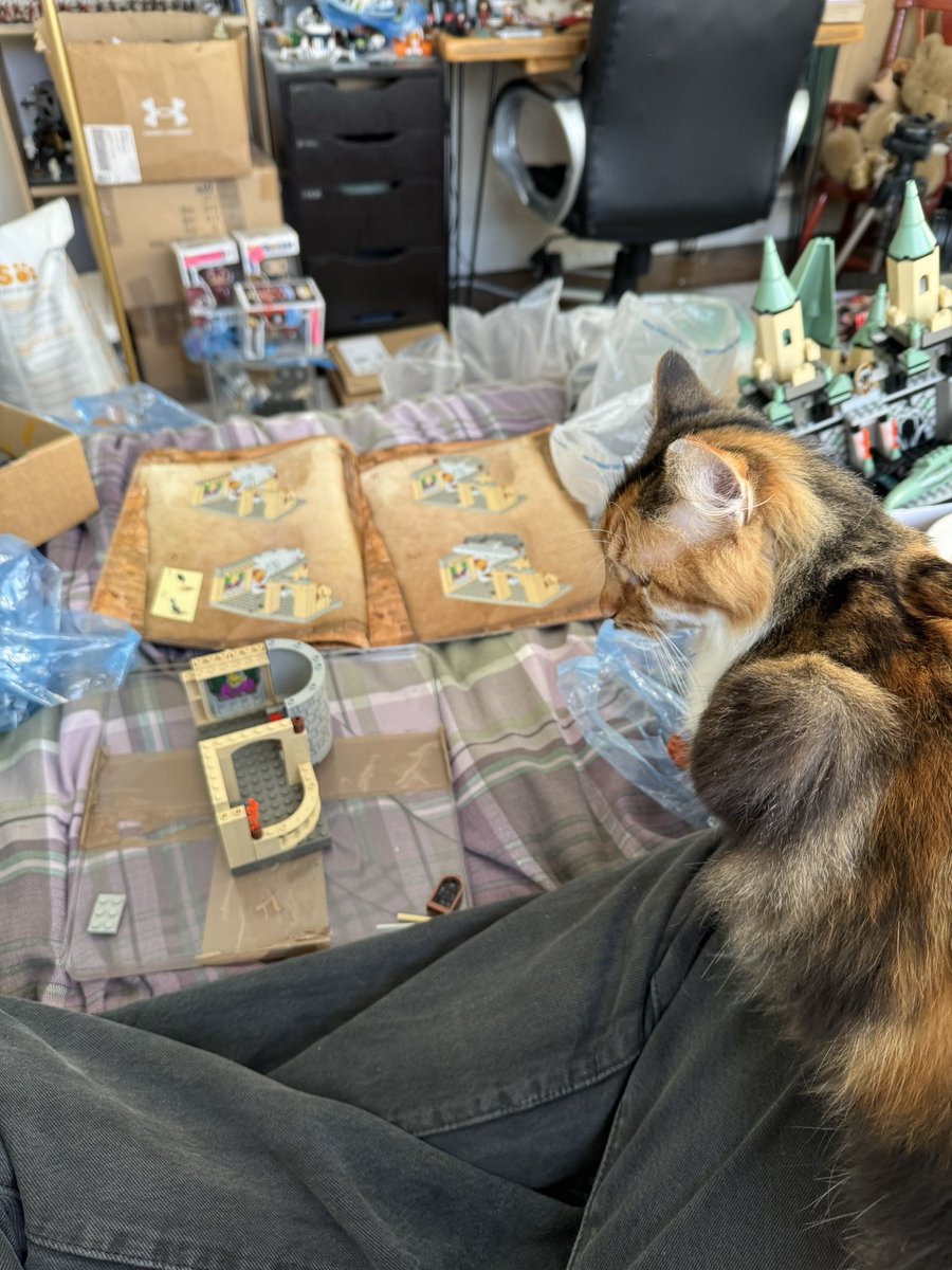 I’ve been rebuilding some classic Harry Potter Lego sets today with the help of a furry assistant