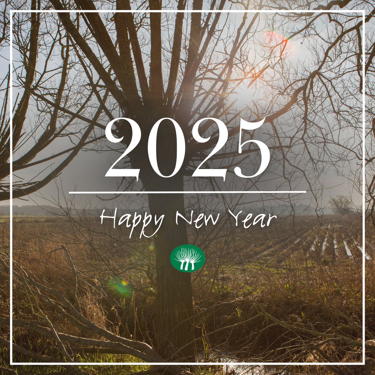 Happy New Year from the team at Somerset Willow 🎇

#HappyNewYear #NewYear2025 #SomersetWillow