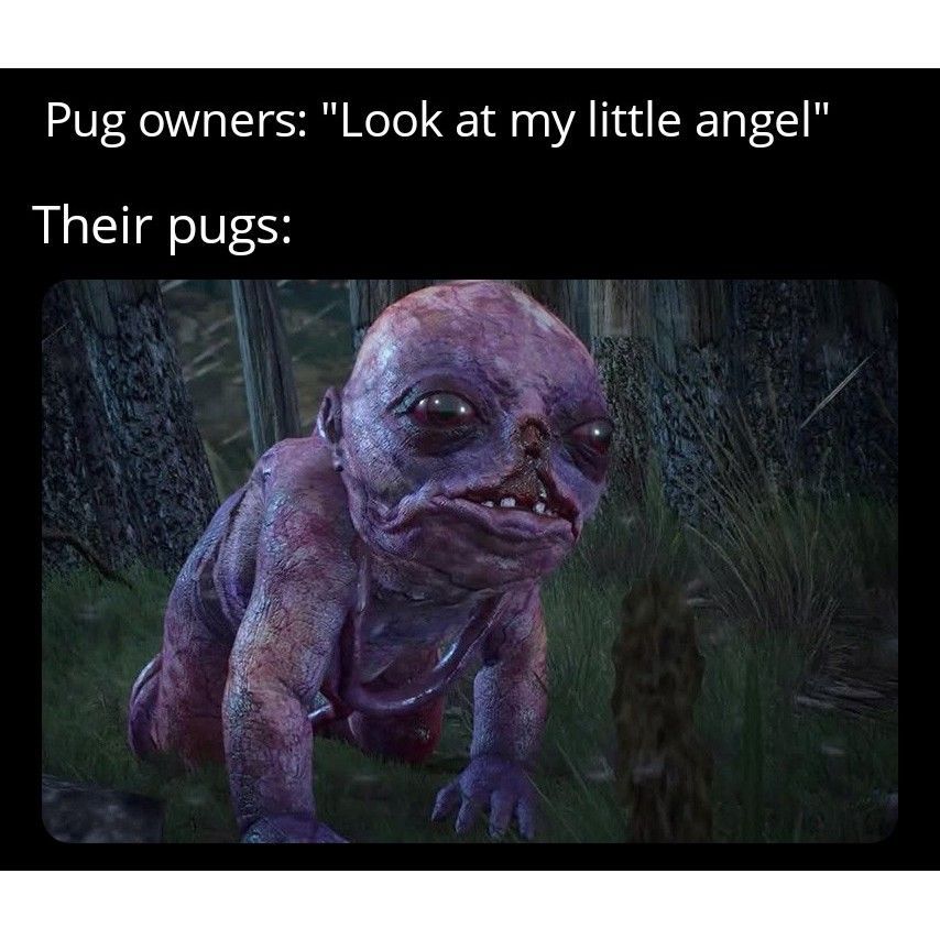 I can hear the heavy breathing in this picture. #pugs #heavybreathing #mylittleangel #dogmom #dogowners #alwaysonaleash