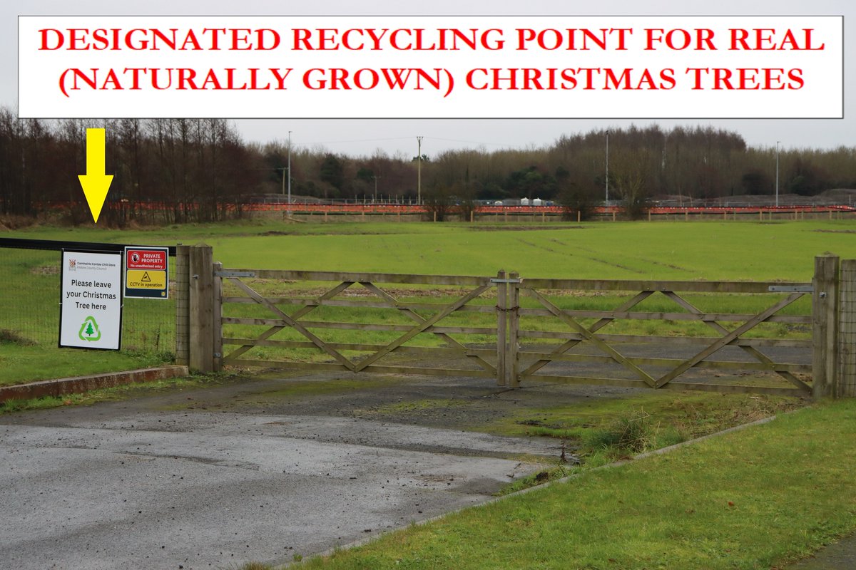 Newbridge Tidy Towns Association #DroicheadNua (@ttnewbridge) on Twitter photo Christmas Tree #Recycling
Friday 3rd Jan to Monday 20th of Jan 2025 inclusive
<a href="/KildareCoCo/">Kildare County Council</a> are again providing a Christmas Tree recycling service this January.
It is a free service to recycle your REAL Natural Grown Christmas Tree in a sustainable way.
facebook.com/newbridgetidyt⊠Christmas Tree #Recycling
Friday 3rd Jan to Monday 20th of Jan 2025 inclusive
<a href="/KildareCoCo/">Kildare County Council</a> are again providing a Christmas Tree recycling service this January.
It is a free service to recycle your REAL Natural Grown Christmas Tree in a sustainable way.
facebook.com/newbridgetidytâŠ