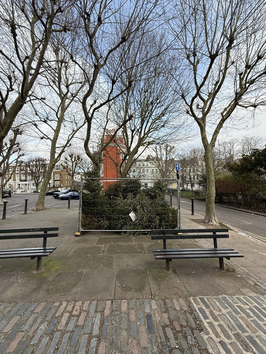 PrimroseHillHub's tweet photo. Here is where you can recycle your Christmas Tree in Chalcot Square. #Recycle #recycled #ChristmasTree #ChalcotSquare #Christmas #PrimroseHill https://t.co/TcUs9MmqPh