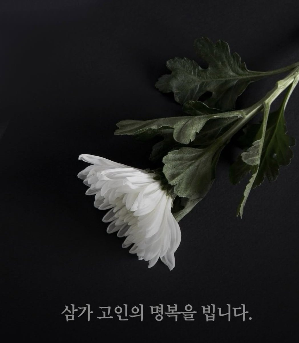 UniqueSomin's tweet photo. R.I.P 🙏
My sincerest condolences go out to the families and loved ones of the victims of the Jeju plane crash in South Korea. My thoughts are with the victims and their families as well as the Korean people at this tragic time🤍
@ActorLeeMinHo 
@koreatimescokr 
@LeeMinhoo_seoul https://t.co/fl8JlbILoZ