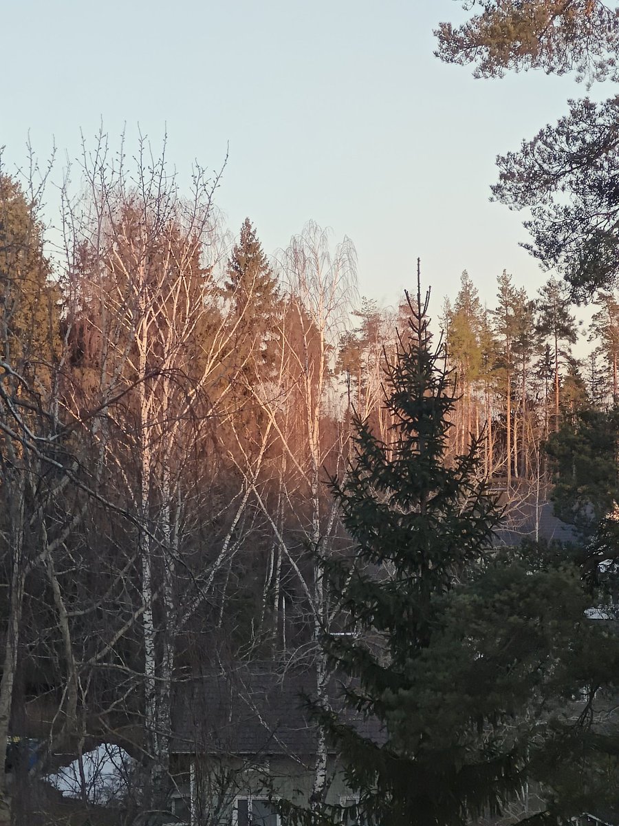 kajsundman's tweet image. #Maanantai #arki. Aurinko laskee kohta, nyt jo muutamaa minuuttia myöhemmin. Pysynee selkeänä, joten Jupiter tulee kohta näkyviin ja sitten Mars. Odotellaan. 🙄