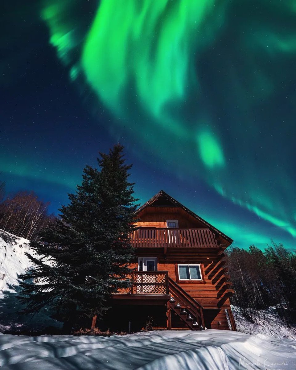 Travel Alaska tweet media