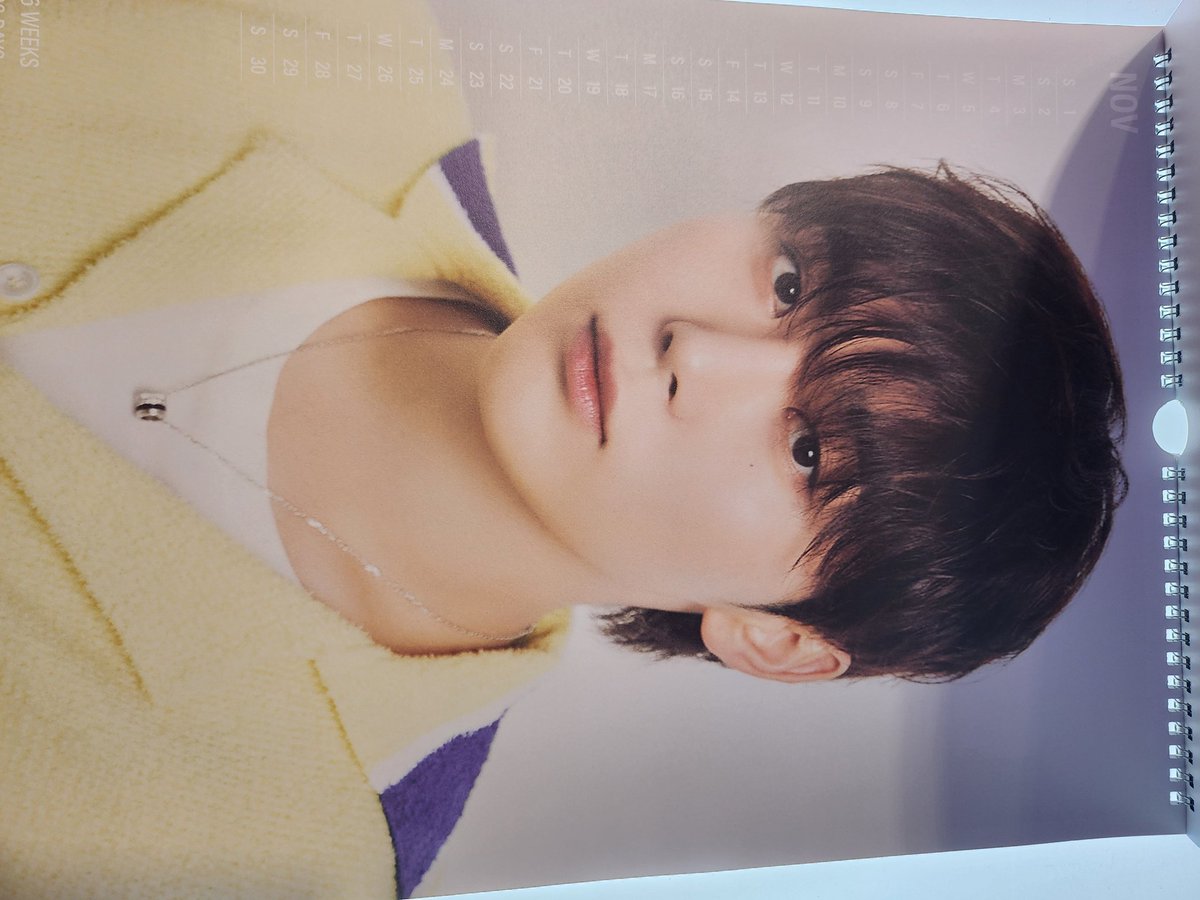 메론빵🍈🐢 tweet media