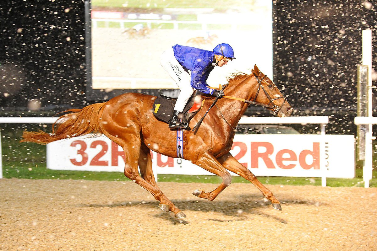 WolvesRaces's tweet photo. Join us today at Wolverhampton Racecourse for our final fixture of 2024!!! βοΈπ The sun is out, so bring your friends and family and let's end the year on a high!π
Gates Open - 14:25
First Race - 15:55
Tickets β‘οΈ https://t.co/5dcZDAUfB4
See you there!π
#Wolvesraces https://t.co/W5kAsi7NFs