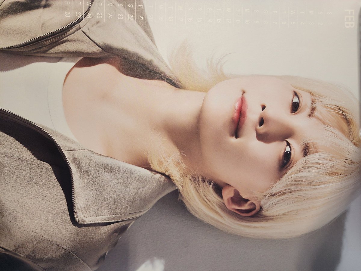 메론빵🍈🐢 tweet media