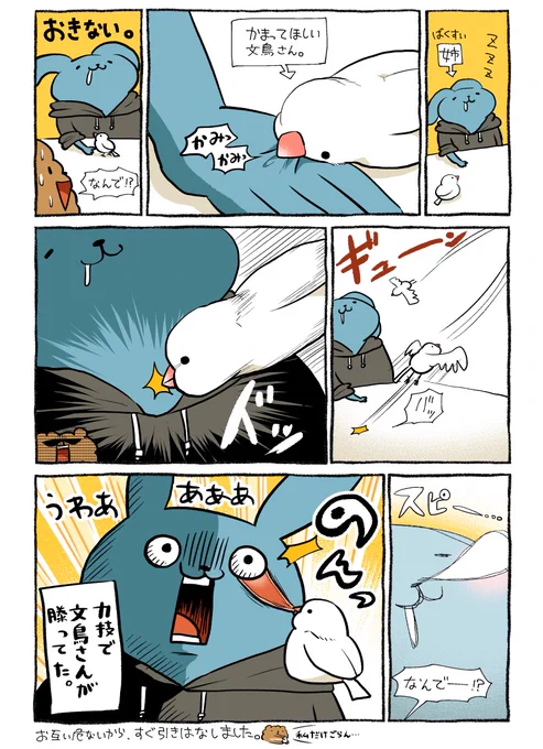 今年1番笑った、文鳥さんvs姉です。 