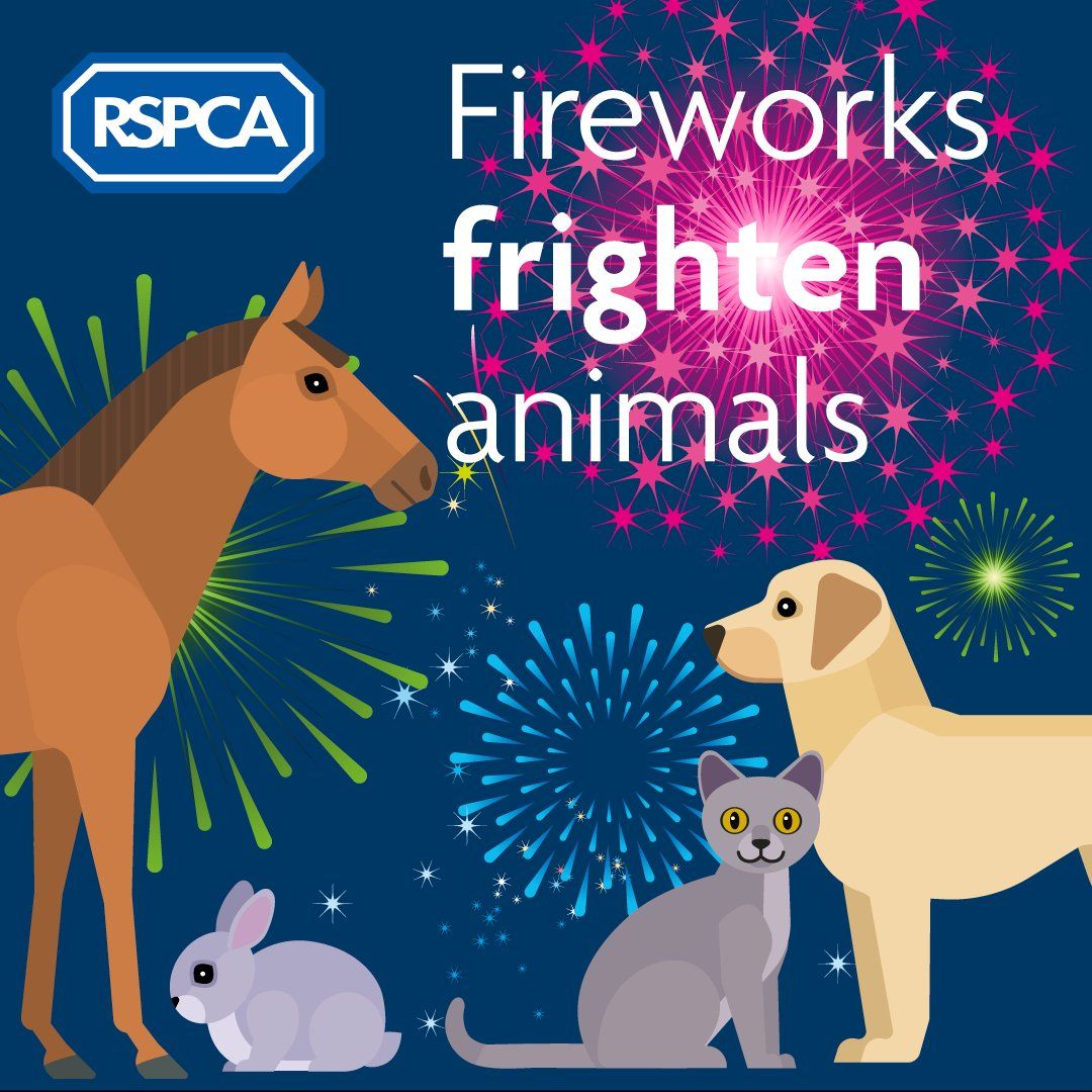 Eurogroup For Animals (@act4animalseu) on Twitter photo 🎇🎆 Sadly it's never a happy New Year for animals who experience anxiety and distress caused by fireworks. In what should be a time of celebration, owners will often see their pets frozen in fear 😔
Check out <a href="/RSPCA_official/">RSPCA (England & Wales)</a>'s campaign - telling policymakers that fireworks are 🎇🎆 Sadly it's never a happy New Year for animals who experience anxiety and distress caused by fireworks. In what should be a time of celebration, owners will often see their pets frozen in fear 😔
Check out <a href="/RSPCA_official/">RSPCA (England & Wales)</a>'s campaign - telling policymakers that fireworks are