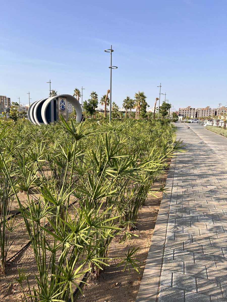 loli__36's tweet photo. حدائق السجى -جدة الشرفية-🌿.                                               #جدة #حدائق_السجى #جدة_الآن #اماكن_جدة #ترند_جدة #جدةtiktok #امانة_جدة #حي_الشرفيه #جامعة_جدة #فعاليات_جدة https://t.co/CigxpltBtQ