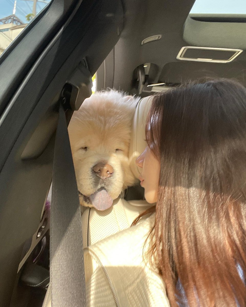 犬は寛容さと愛について最もよく知っている動物であり、誠実とは何かを自分の行動で説明します。