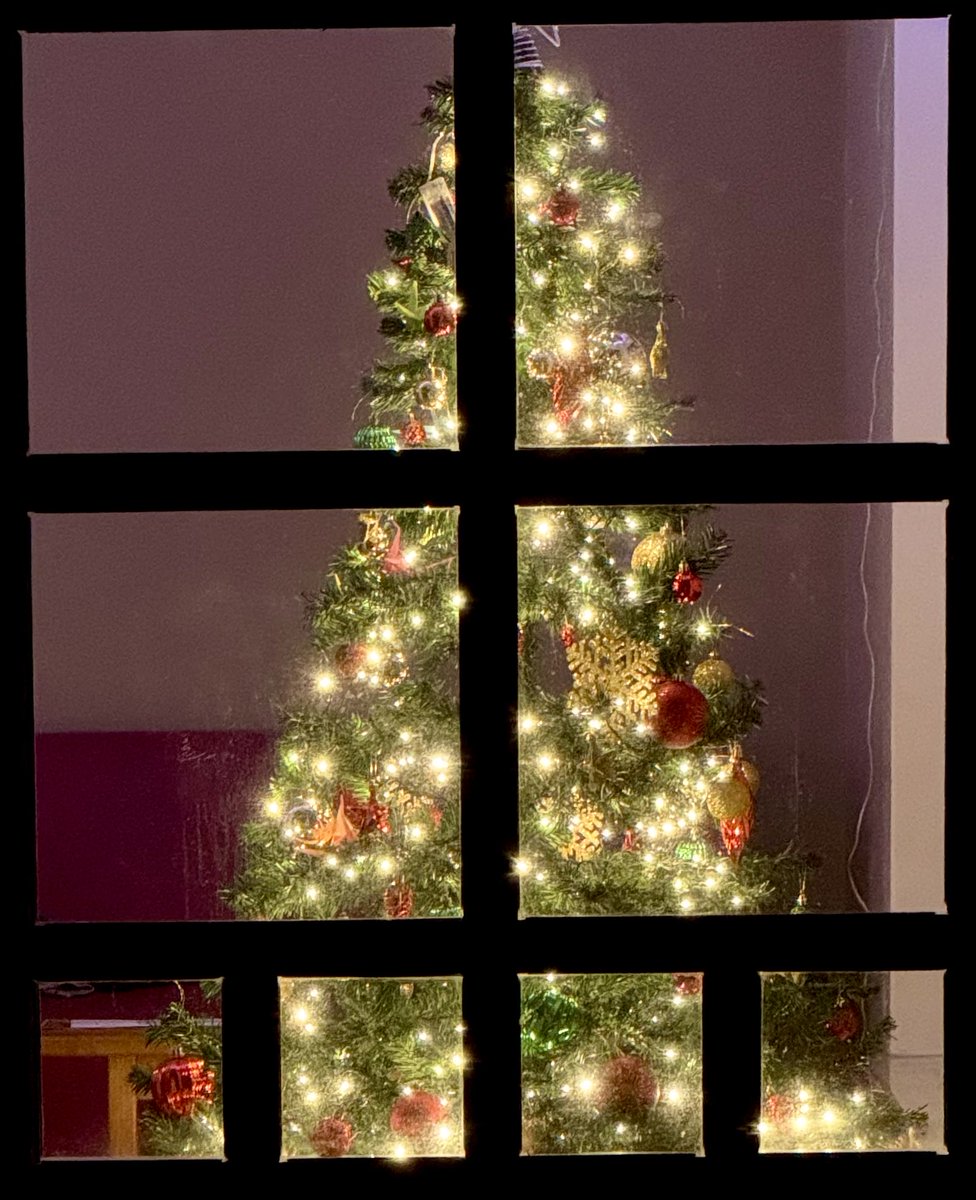 Bart Busschots 💤 (@bbusschots) on Twitter photo While it’s true that our president is rightly proud of the tree dominating the window her office over the entrance to the TSI building, I still think the prettiest tree in <a href="/MaynoothUni/">Maynooth University</a> is the student apartments 🙂🎄 While it’s true that our president is rightly proud of the tree dominating the window her office over the entrance to the TSI building, I still think the prettiest tree in <a href="/MaynoothUni/">Maynooth University</a> is the student apartments 🙂🎄