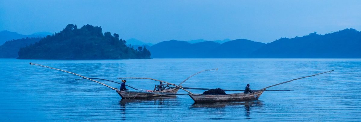 Sangwa Sifa Florence (@sangwasifa) on Twitter photo 🥳 Rwanda’s Twin Lakes Lead the Way in Fisheries Innovation
Burera and Ruhondo Lakes in <a href="/RwandaNorth/">Northern Province/ Rwanda</a> Province are making waves in the world of fisheries!
Rwanda’s efforts to boost fish production are paying off, with Lamprichthys tanganicanus, fondly known as Rwanda Rushya, 🥳 Rwanda’s Twin Lakes Lead the Way in Fisheries Innovation
Burera and Ruhondo Lakes in <a href="/RwandaNorth/">Northern Province/ Rwanda</a> Province are making waves in the world of fisheries!
Rwanda’s efforts to boost fish production are paying off, with Lamprichthys tanganicanus, fondly known as Rwanda Rushya,