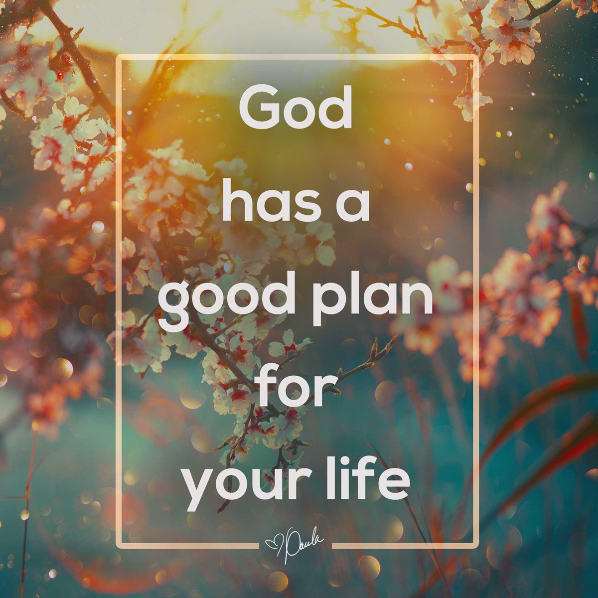 Paula_White's tweet photo. God knew every mistake you would make and still made a good plan for your life- one "to prosper you and not harm you!" https://t.co/PKLzl1A5yV