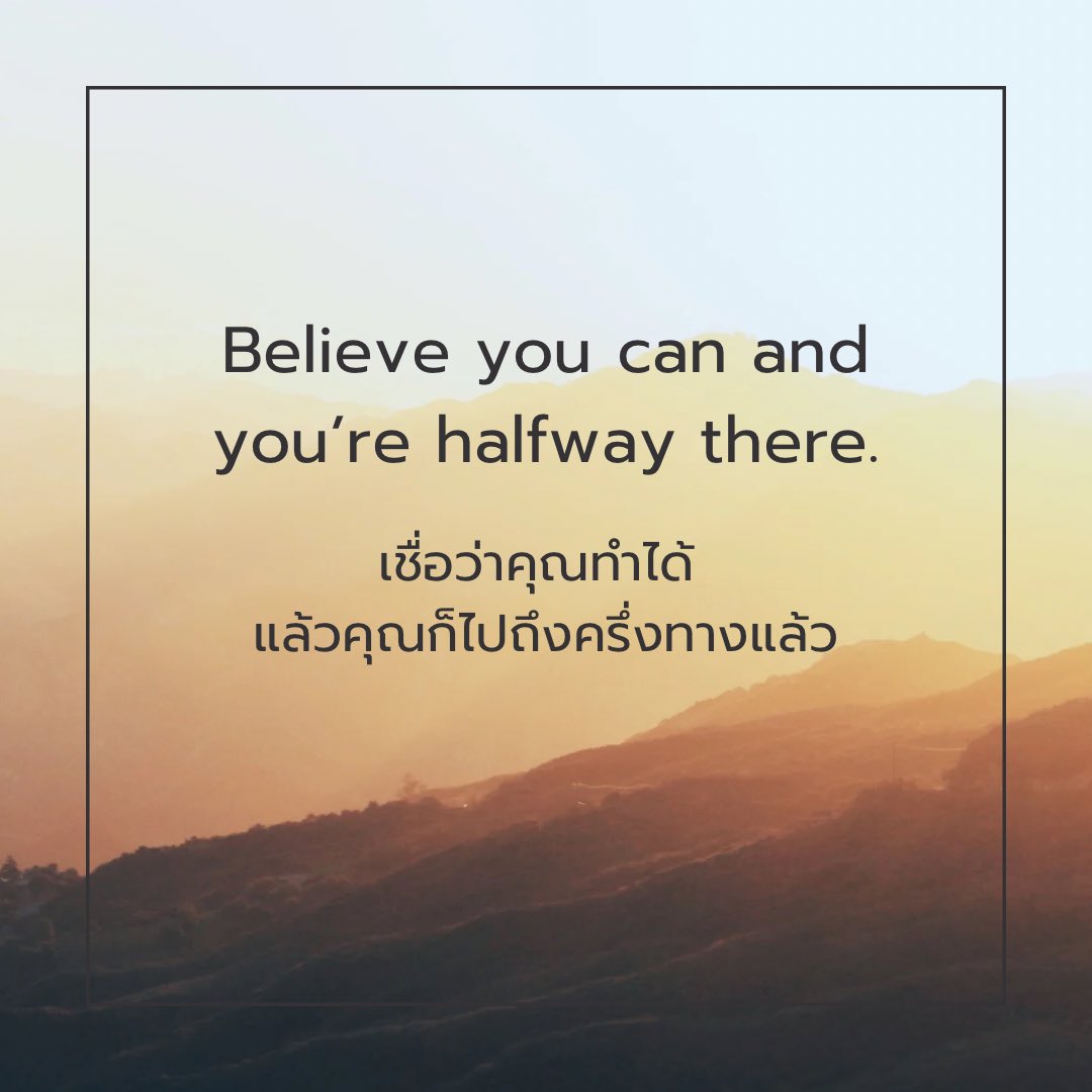 หมีมีไร tweet media
