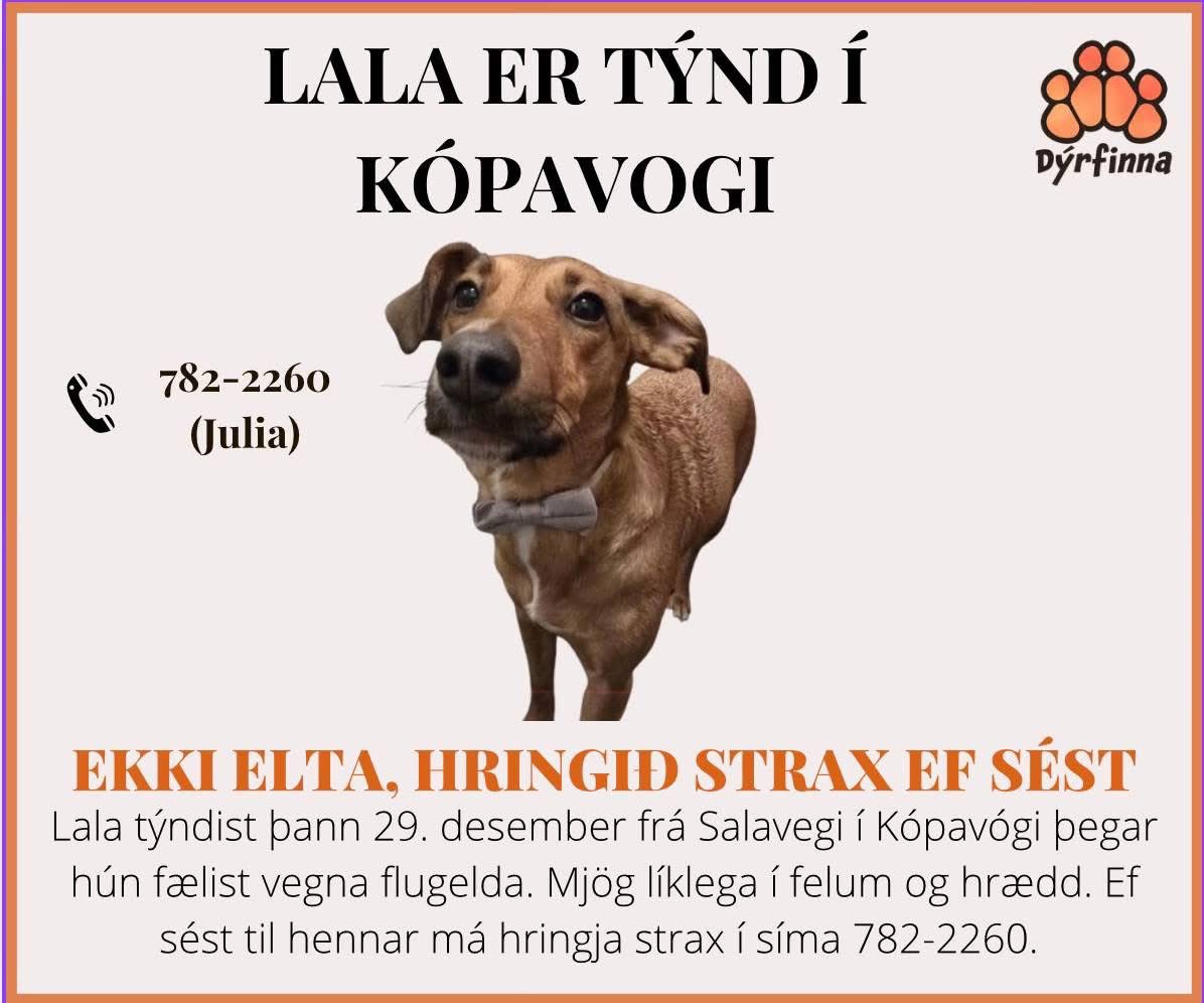 Og mjög mikilvægur reminder að flugeldar eru ekkert grín. Bara í gær týndust 5 hundar vegna flugelda og er einn ennþá týndur. Komum Lala heim fyrir áramótin! 💔