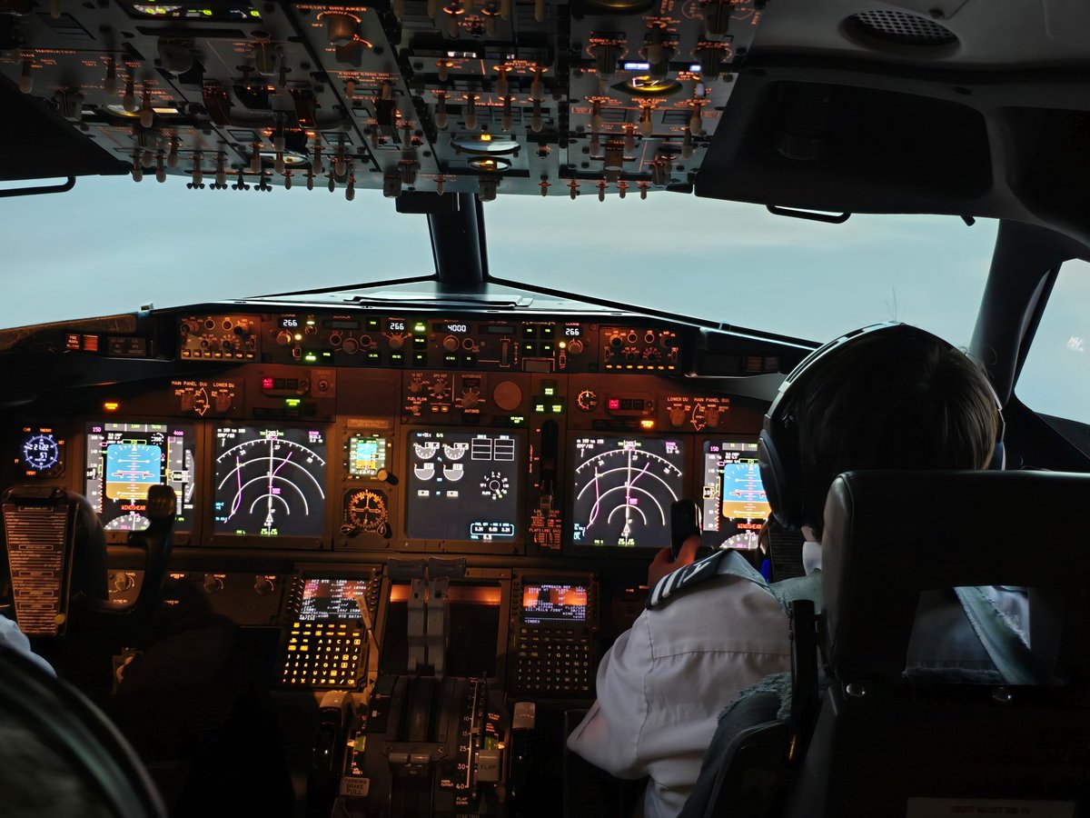 emmabull tweet media