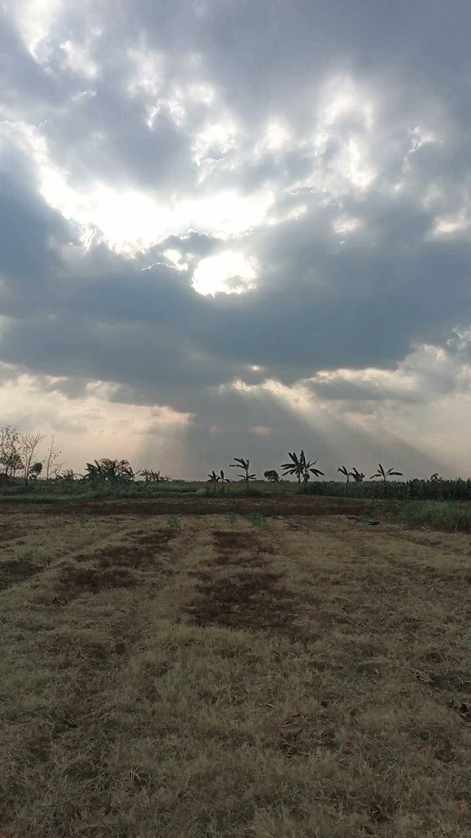 mat_rempit4's tweet image. 
