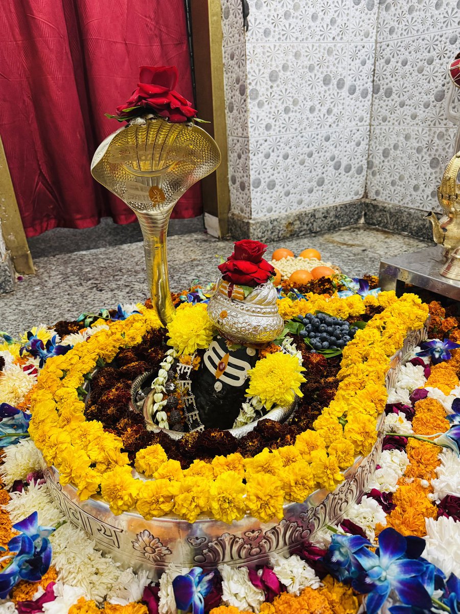 neelkanthtemple's tweet photo. शुभ रात्रि श्री नीलकंठ महादेव जी https://t.co/yWe6soFzn9