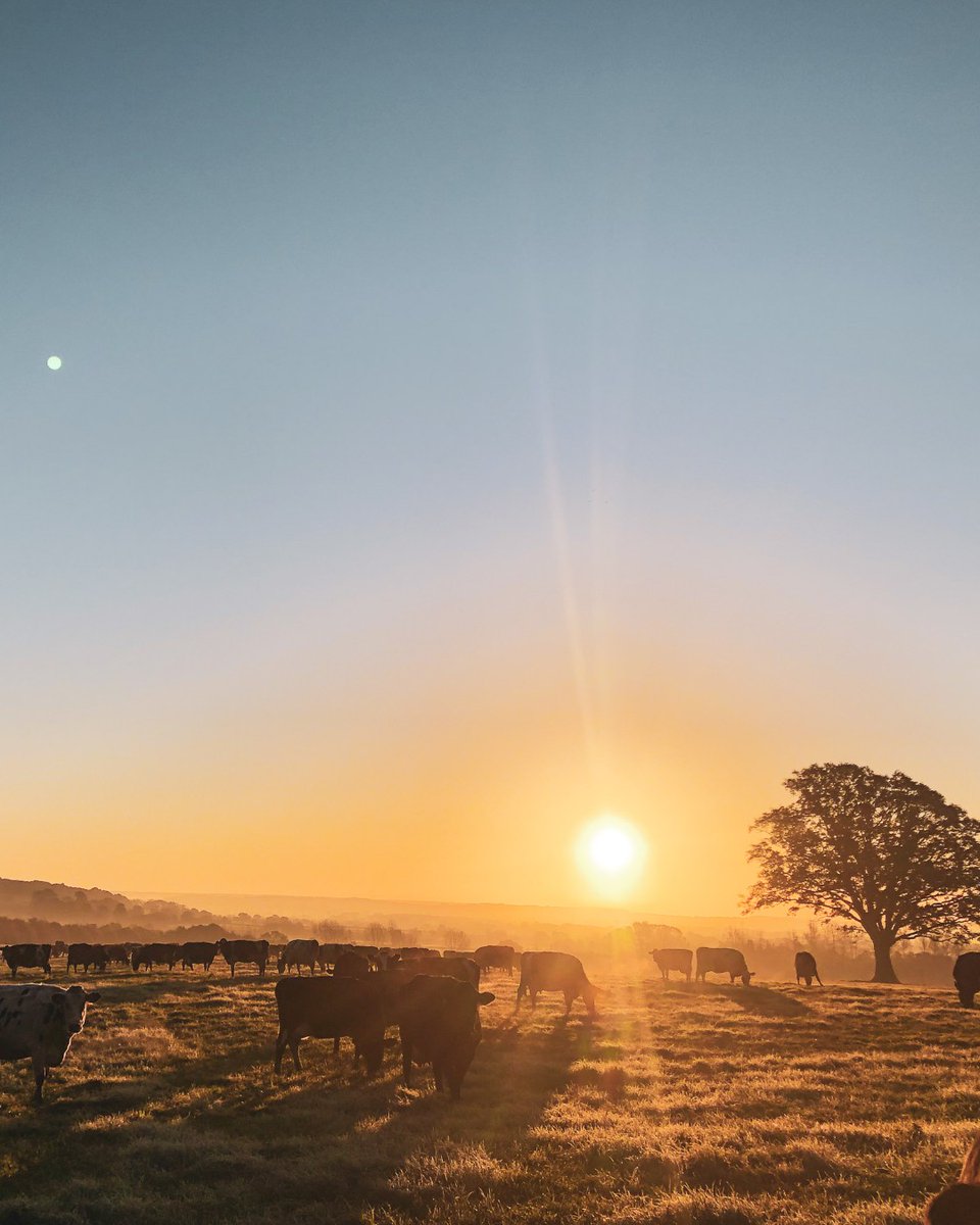 Greendale Farm Shop tweet media