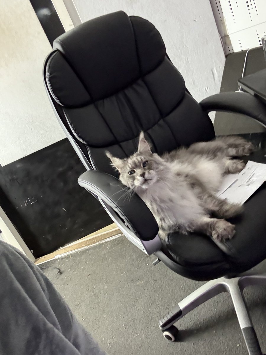 atmozfears tweet media