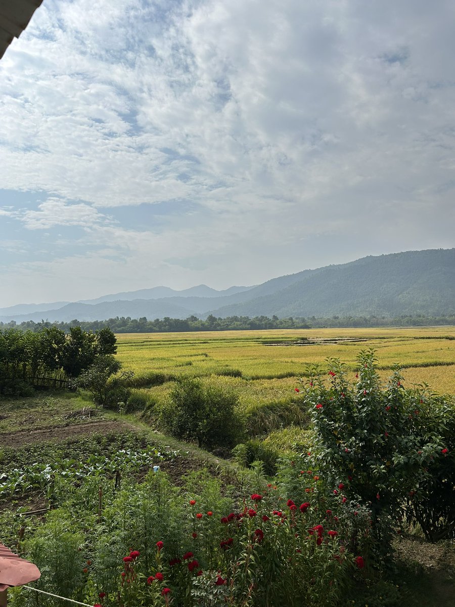 SumitraKC30's tweet photo. Nepal: My Hometown!🇳🇵❤️ https://t.co/3CJQQh5zQt