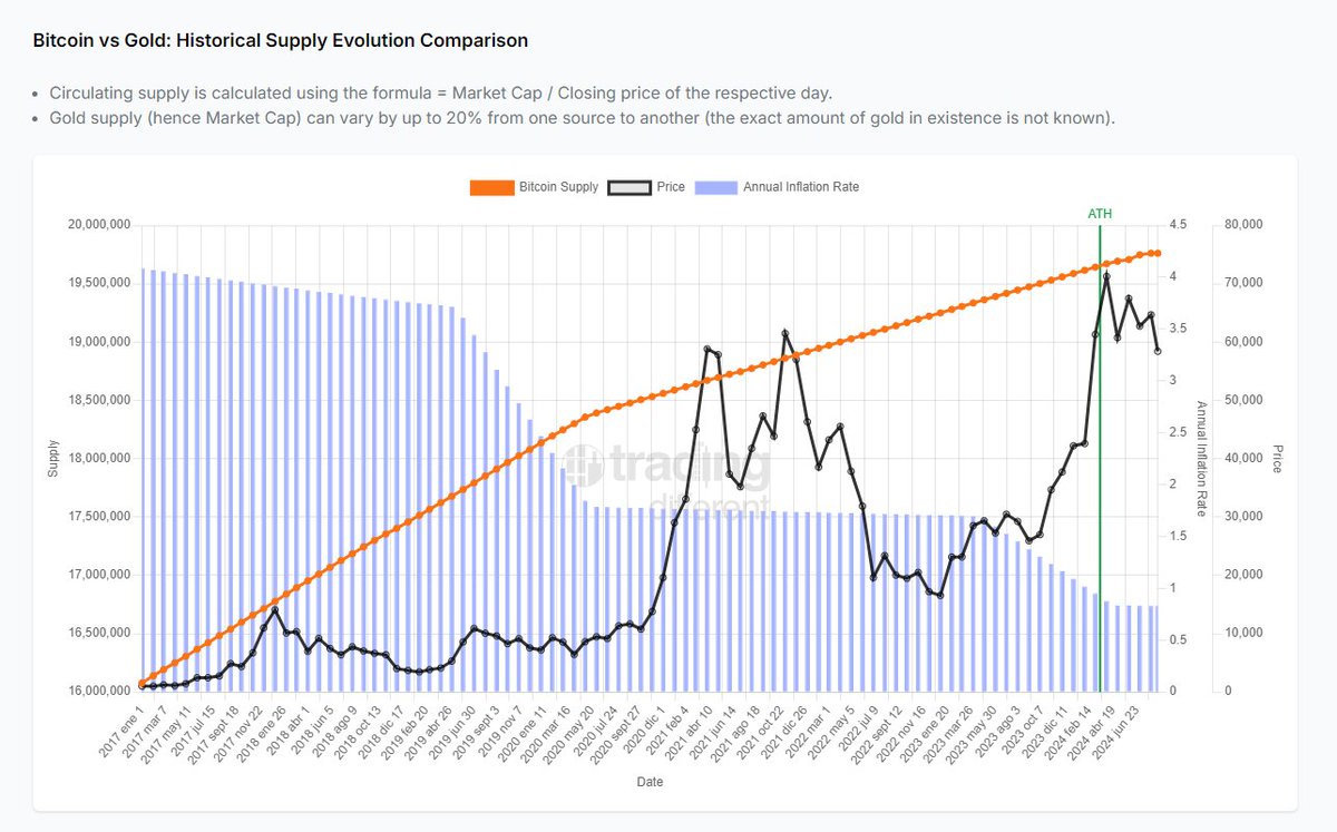 ✨ FREE Section: Bitcoin vs. Gold! 🪙 Discover the historical evolution of  these two safe havens. 📊 Gain insights from detailed market analysis,  optimize your portfolio, and make smarter decisions with key