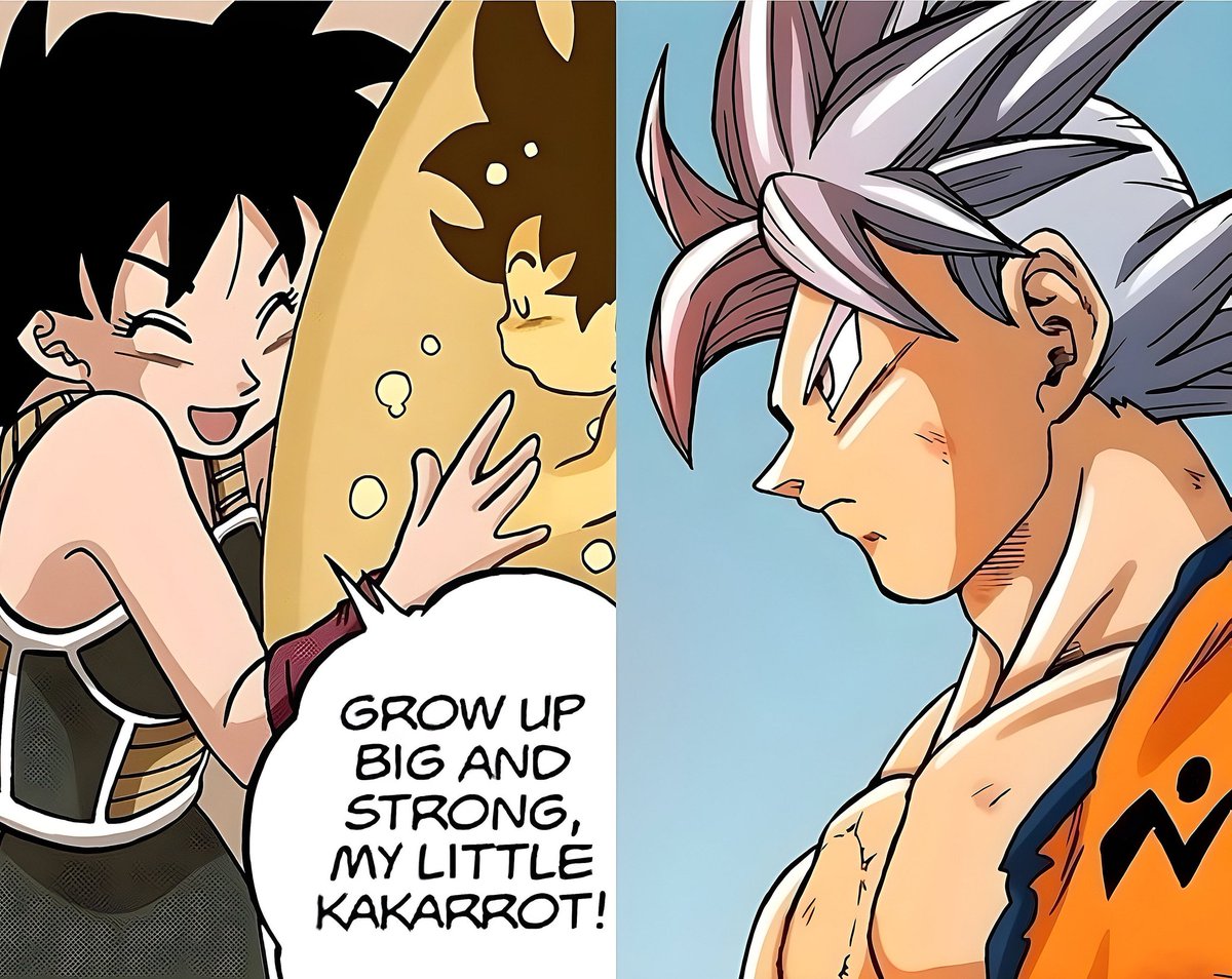 Harley Anime✨ (@dbs_10_10) on Twitter photo 