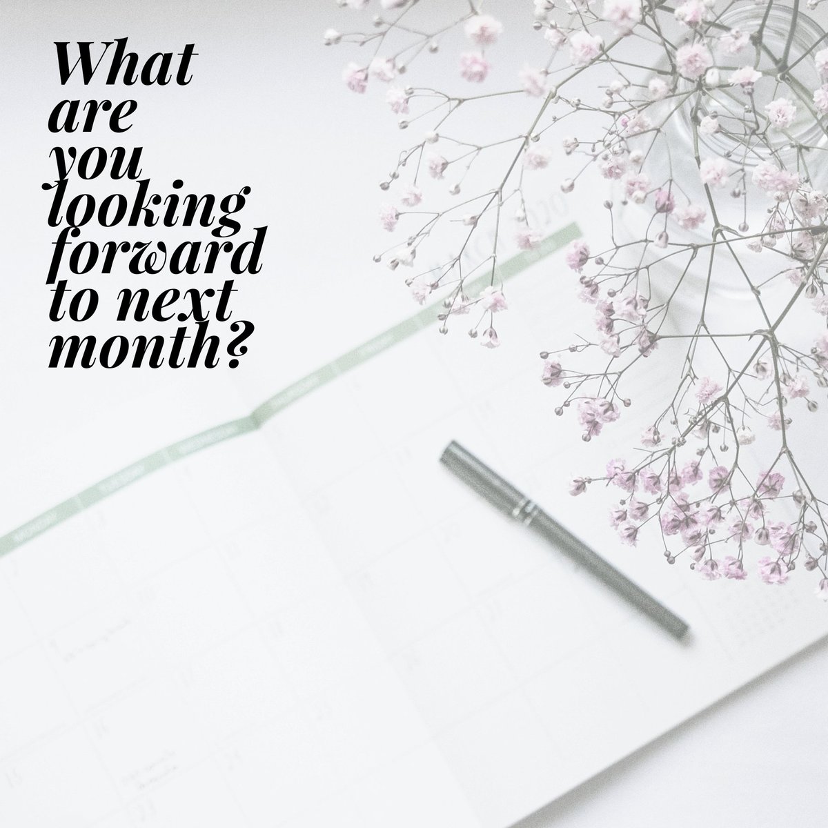 MyScheduledBiz's tweet image. It always helps me to have a goal in mind. What&apos;s yours?
MyScheduledBiz.com

#bossladylife #shopsmalltx