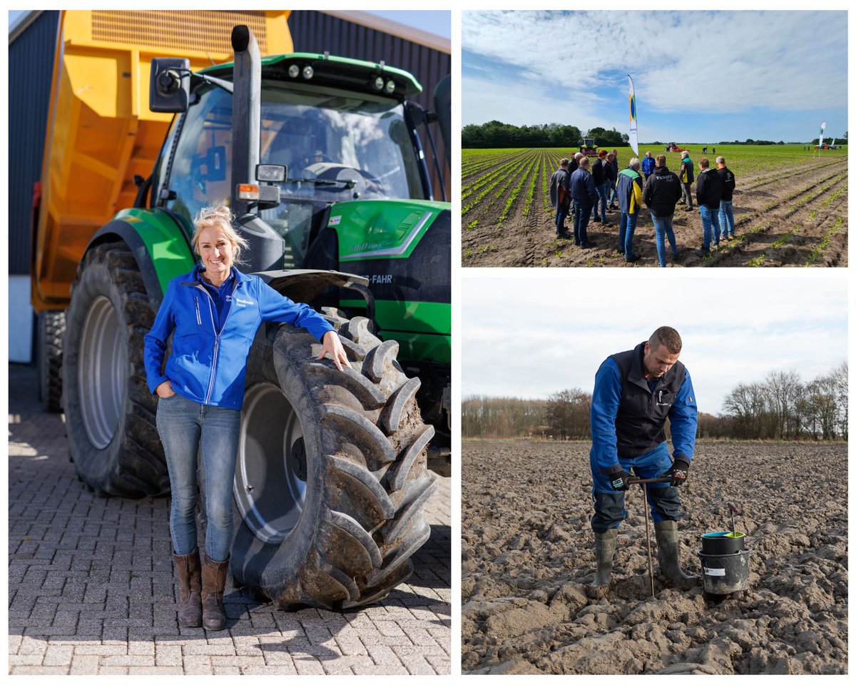 ✨Terugblik op 2024✨ Samen met telers van aardappelen, bieten en cichorei hebben we hard gewerkt aan bodem, plantgezondheid en klimaat. 🌱 Hoogtepunten: 1200 percelen geanalyseerd op N-min, nieuwe Inspiratieboerderijen en succesvolle onkruiddemonstraties. Op naar 2025! 🌟