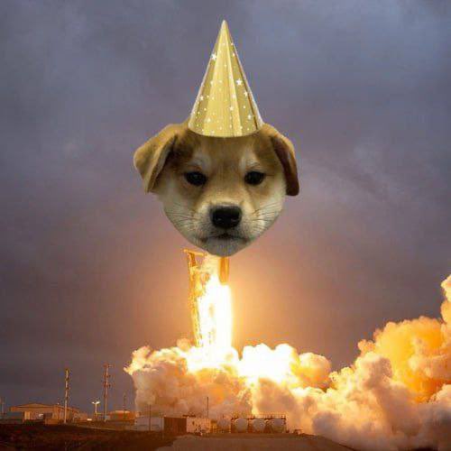 farto0's tweet photo. @shahh BRO
#wifyear will be mooning today! 

6xX8NuR89nWZsCUAtzi4NUyP8ByyiyzbHcWnAmGnpump https://t.co/HcAwWPQyGA