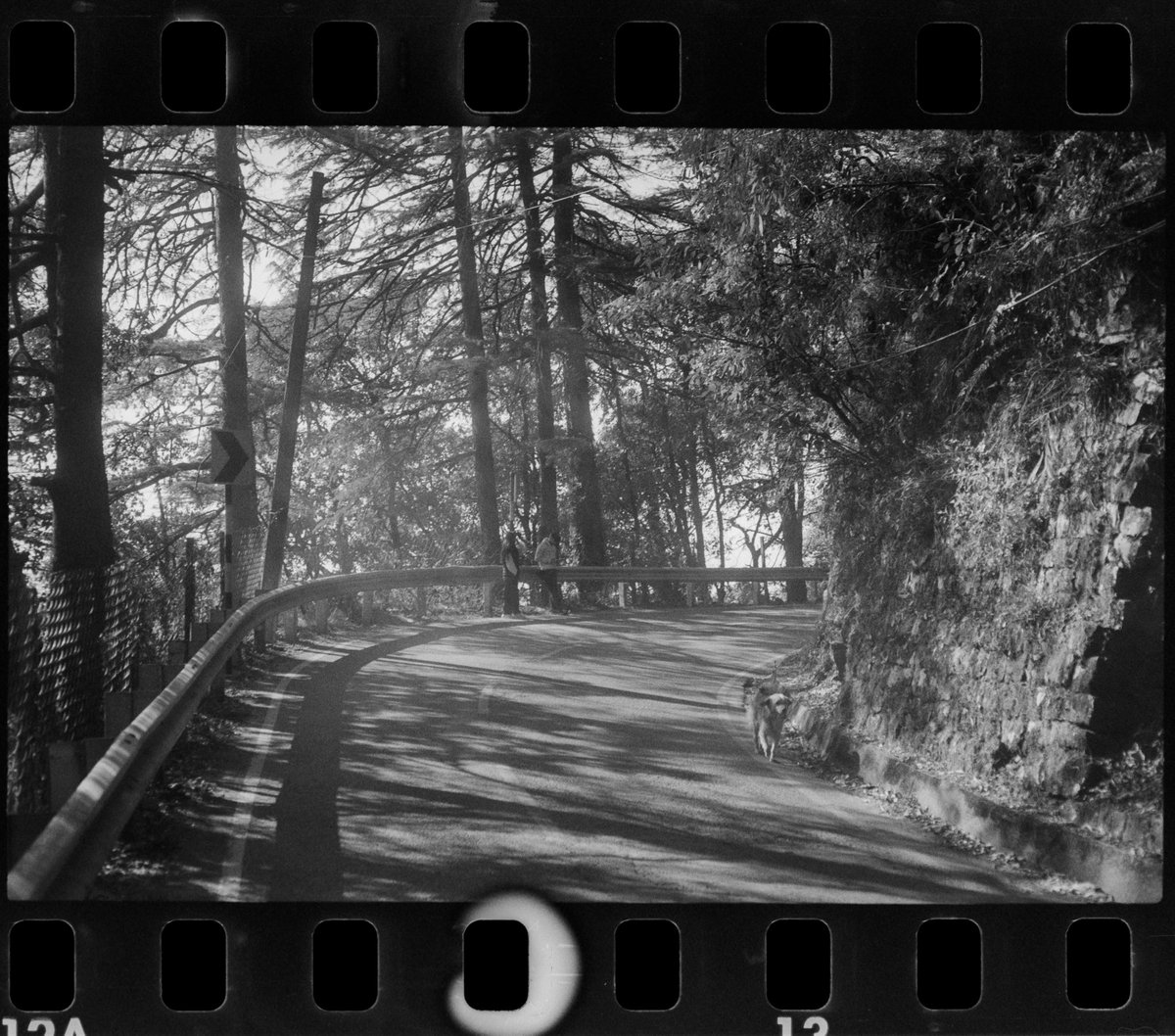FujixPal's tweet photo. Ilford 400 https://t.co/Twphlcd6jo