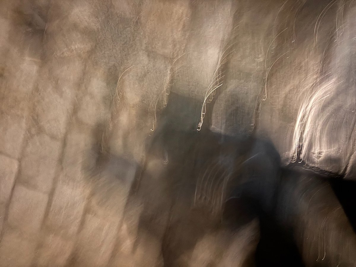 Arnaud Maïsetti tweet media