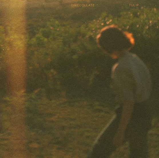 thisisyudhis's tweet photo. 12) Dive Collate - Tulip (single)

Shoegaze/jangle pop UK 90an (dari artwork mungkin udah agak obvious), vokalnya alus, agak ngingetin sama The Sundays. 

6.3/10 https://t.co/MQYQZDBGkG