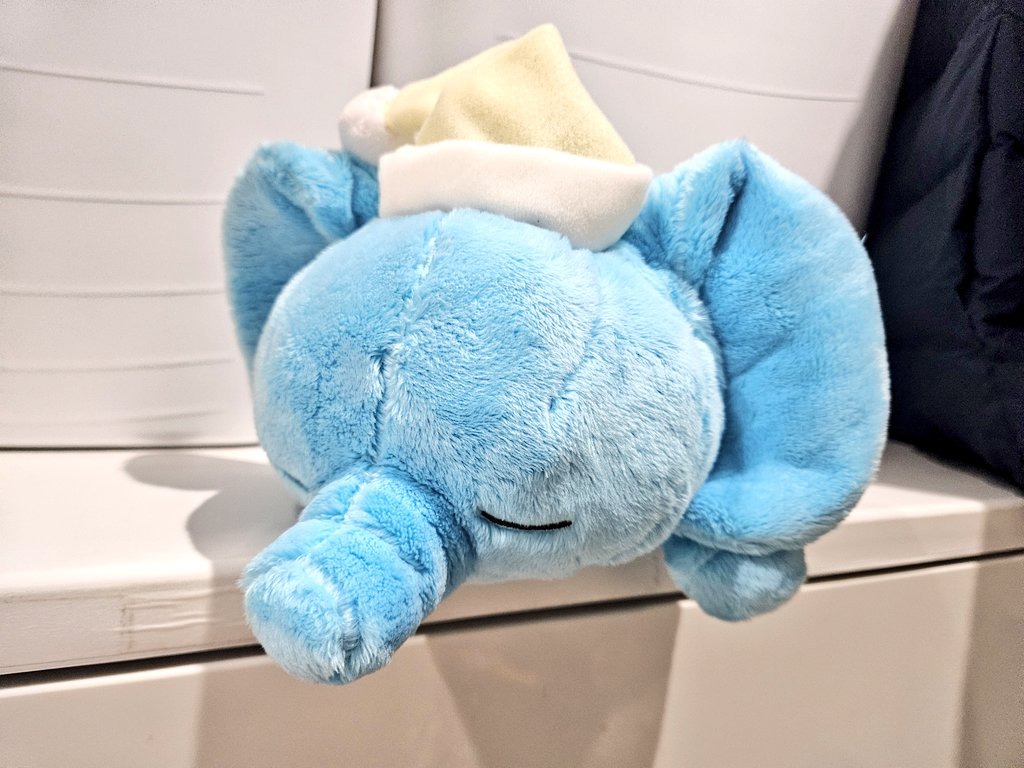 かっつぁんがゾウ好きで不眠気味の私にってくれました🐘
電池いれたらなんかすごい鼓動の振動する…今日はこの子抱っこして眠ります… 