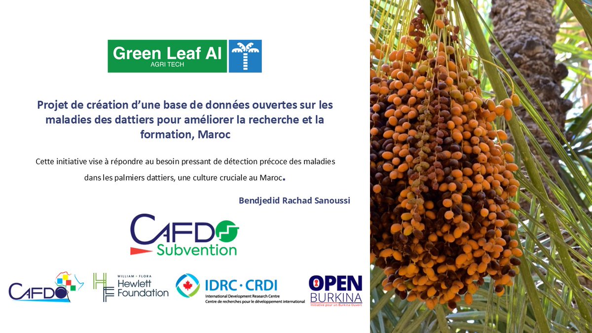 GreenLeafAI's tweet photo. Nous avons le plaisir d'annoncer que notre projet "Création d’une base de données ouvertes sur les maladies des #dattiers 🇲🇦" 🌴a été sélectionné parmi les 5 initiatives retenues sur 252 pour le premier 𝗮𝗽𝗽𝗲𝗹 à 𝗽𝗿𝗼𝗷𝗲𝘁𝘀 #YIRWA. Merci #CAFDO
#GreenLeafAI #OpenData https://t.co/cuCZOSDI8l