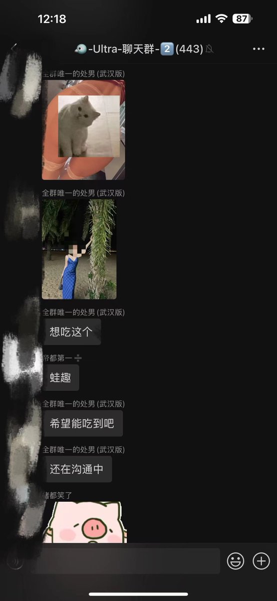 🔞学徒们都在为了跨年炮努力啊，🎇马上就是2025年了，✍️得抽空更新教程，然后想一想接下来教学的📈学费要不要涨价了。
-
🔝主页置顶推文有教程介绍，价格仅需一顿火锅钱💰
📚想学习教程的话可以加我微信🛰️：YPCAT5👈 https://t.co/oYMuABReGr