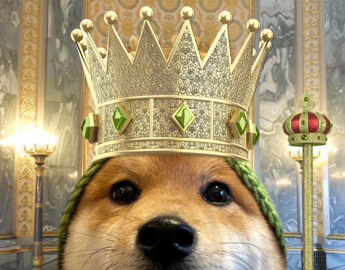 trenchesmvp's tweet image. Gm future billionaires