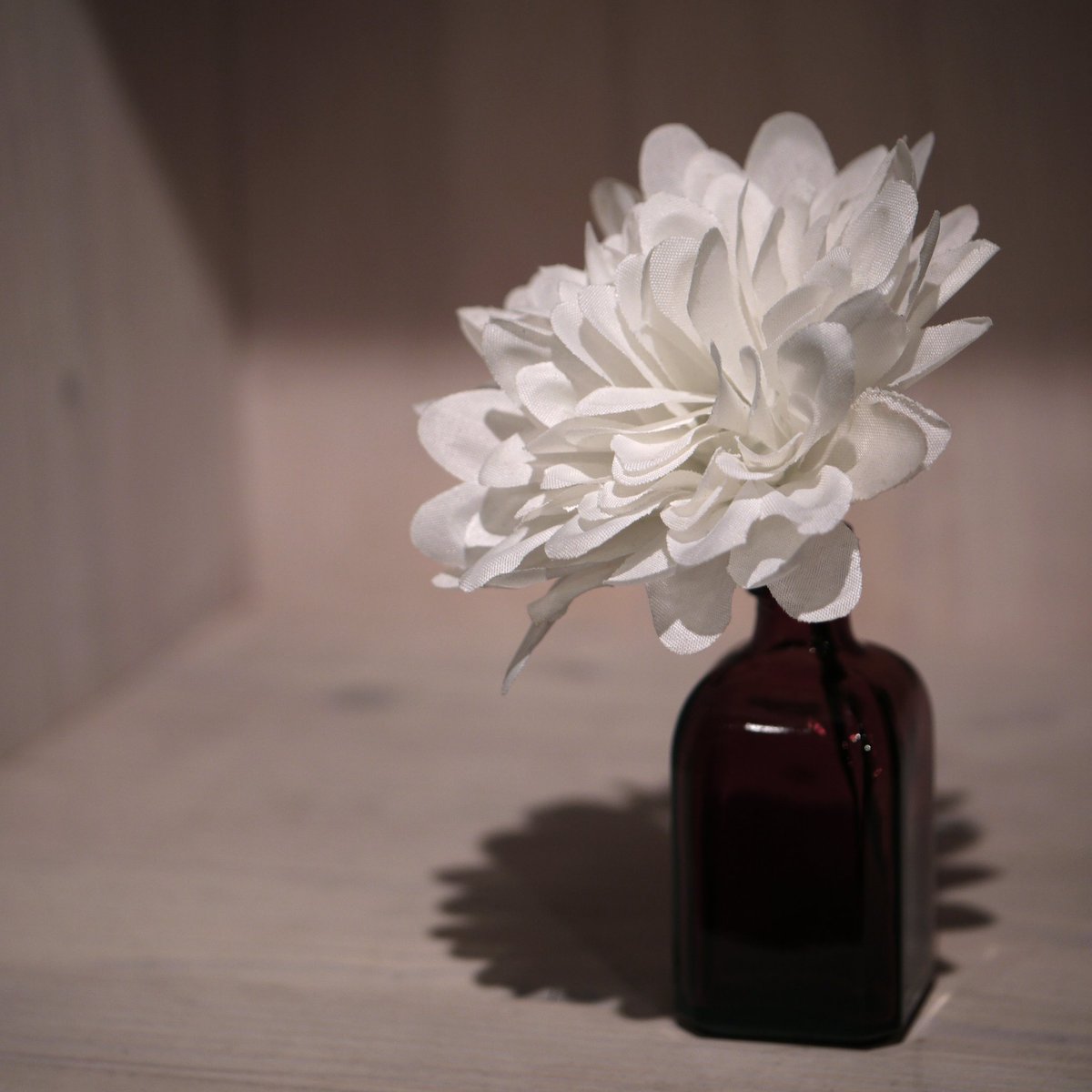 🙏

들려오는 소식에
하루종일 가슴이 먹먹합니다.

제주항공 여객기 사고 유족분들에게
깊은 애도의 마음을 보냅니다.
삼가 고인의 명복을 빕니다.